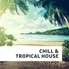 Chill && Tropical House