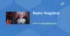 Radio Vragolica - Solin