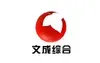 Wencheng News TV