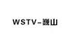 Weishan TV