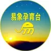 河南网络广播易象孕育台