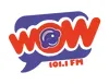 Wow (Torreón) - 101.1 FM