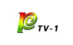 Puer TV-1 News