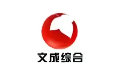 Wencheng News TV